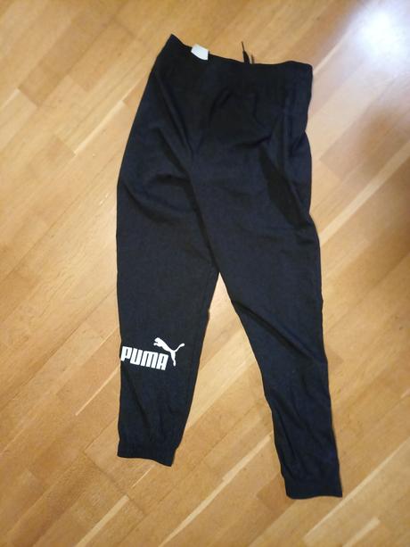 Šuštiaky, puma,152