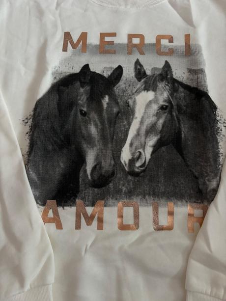 Mikina kôň, h&m,164