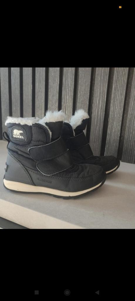 Snehule sorel, sorel,28