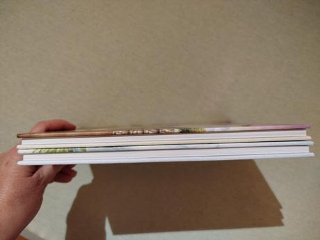 Heidi, dievčatko z hôr, heidi a jej priatelia, 