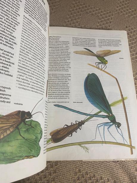 Pestrá príroda luděk j. luděk jindřich dobroruka,,