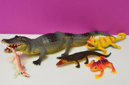 Krokodíl žaba zvieratá, 