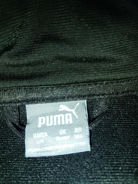 Predam, puma,158