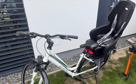 Cyklosedačka bellelli, 