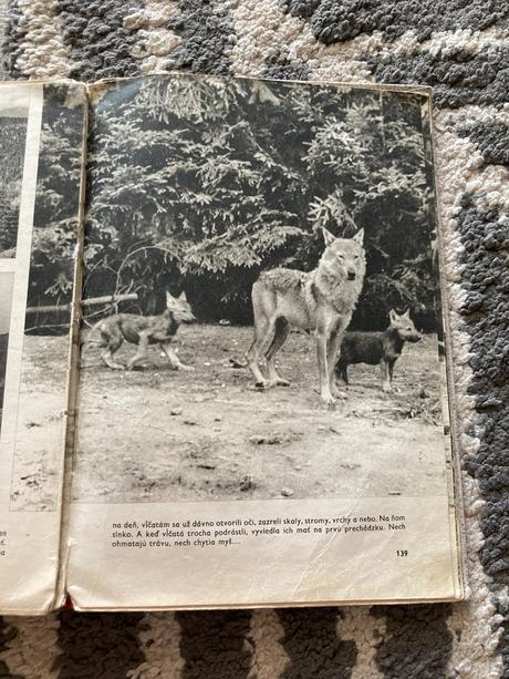 Sivá vlčica jaroslav holeček (1968), 