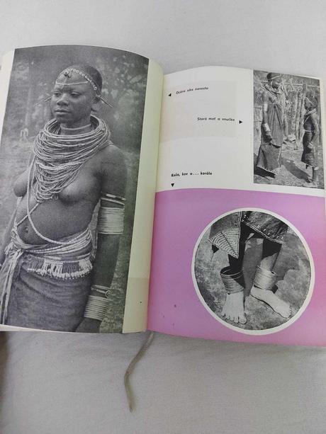 Safari mingi, 