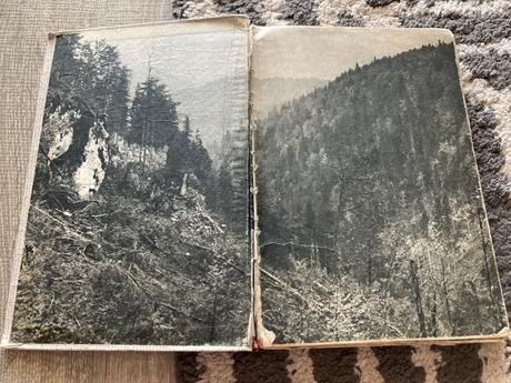 Sivá vlčica jaroslav holeček (1968), 