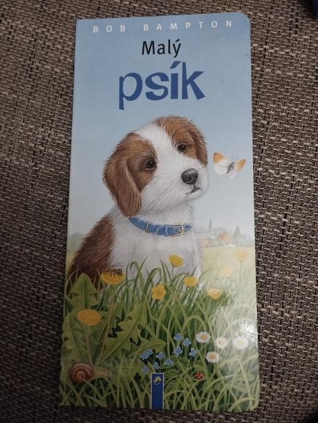 Kniha s tvrdými stranami, 