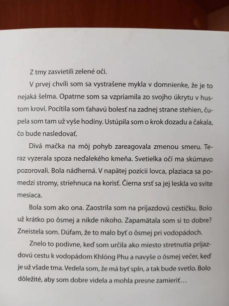 Bublina - katarína šajbanová, vydanie z roku 2009,