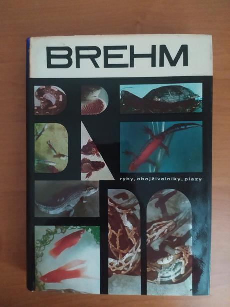 Ryby, obojživelníky, plazy, 