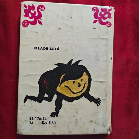 Retro knižka čo sa patrí a čo nie, 