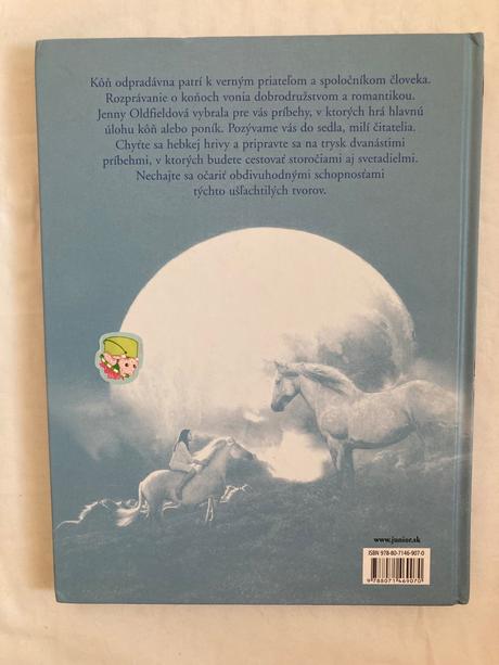 Knižka o koňoch čierny blesk, 