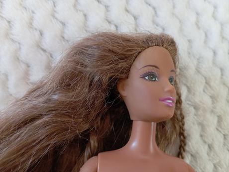 Barbie rayla bez oblečenia,