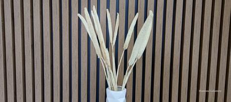 Babala biela - 60 cm, 