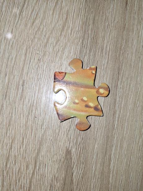 Puzzle 250 pocahontas,