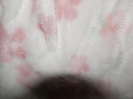 Zupancek s mackom me to you od george, george,80