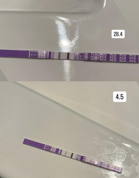 Negatívne testy v ranom tehotenstve