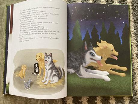 Traja kamaráti (2017), 