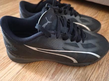 Halovky, puma,32