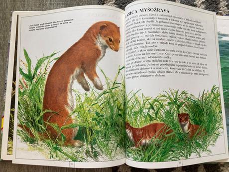 Zvieratá európy-prvé vyd.1997, 