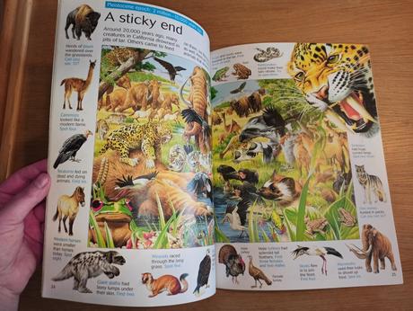 Usborne great prehistoric search, 
