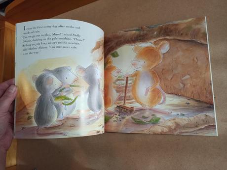 Christine leeson - molly and the storm,