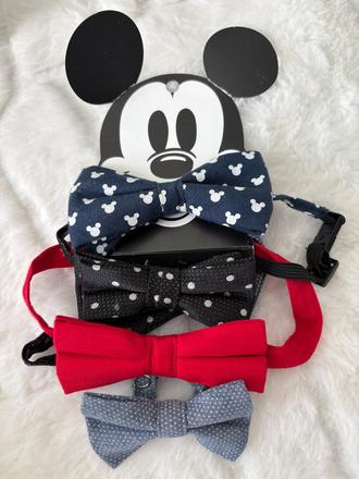 Motyliky top stav, zara