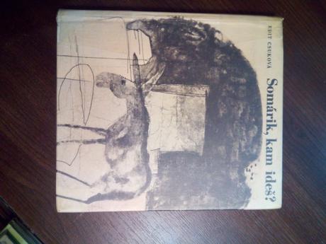 Somárik kam ideš ô,