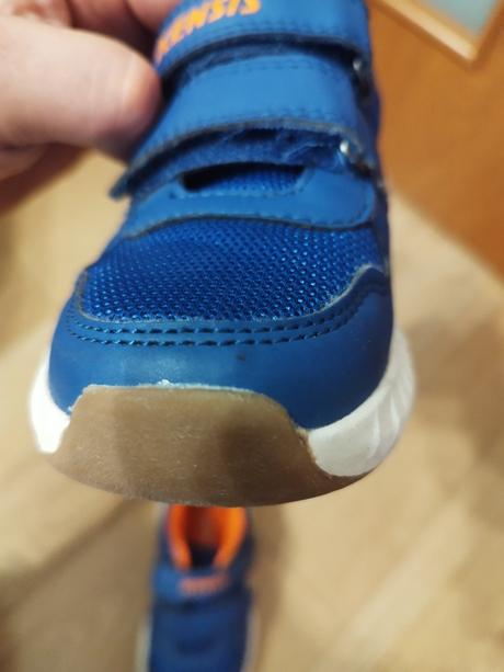 Halovky v. 29 zn. kensis, 29