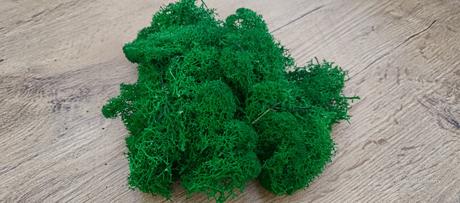 Stabilizovaný mach fínský lišajník- tmavo zelená -, 