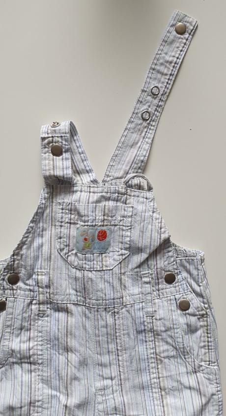 Kraťasy, st. bernard,56