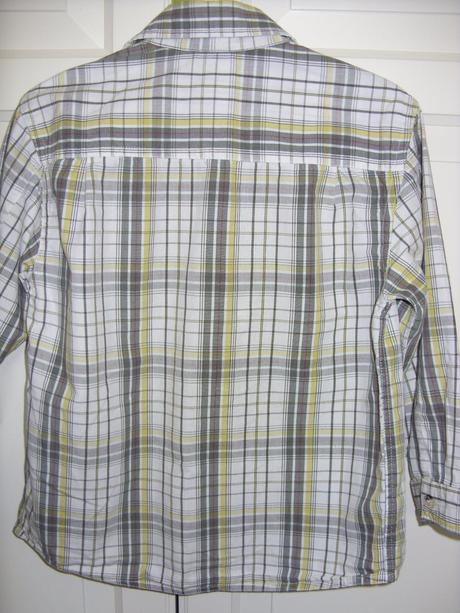 Kosela, palomino,116