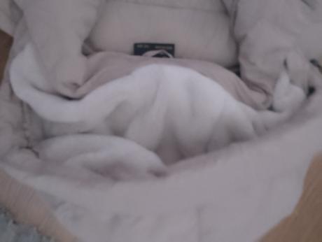 Pekná značková zimná vetrovka, 38