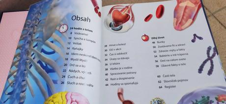 Deň v živote tela, 