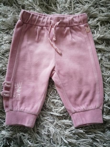 Velurové tepláčiky, coccodrillo,68