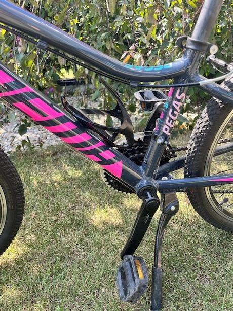 Bicykel dema pegas 24 šedý-ružový, dema,24