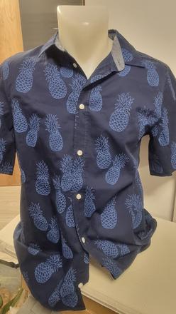 Kosela modra, h&m,170