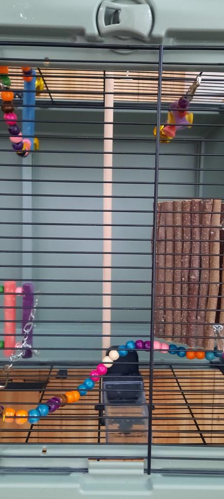 Klietka pre vtaciky, 