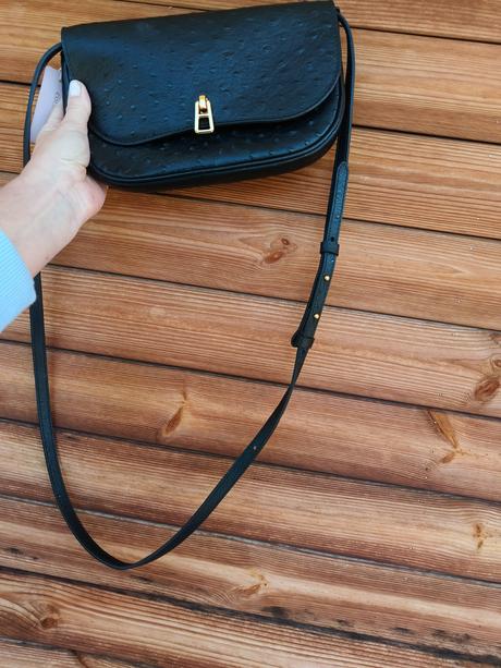 Coccinelle magie ostrich noir, coccinelle