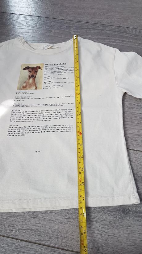 Mango tricko s napisom na chrbatiku, mango,110