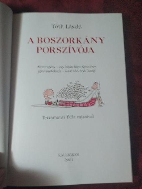 A boszorkány porszívója,