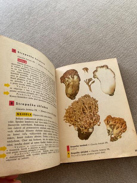 Vreckový atlas húb pilát ušák, 