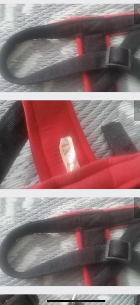 Postroj pre väčšieho psa,