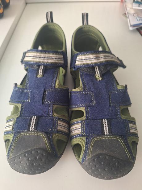 Pediped sahara, pediped,33