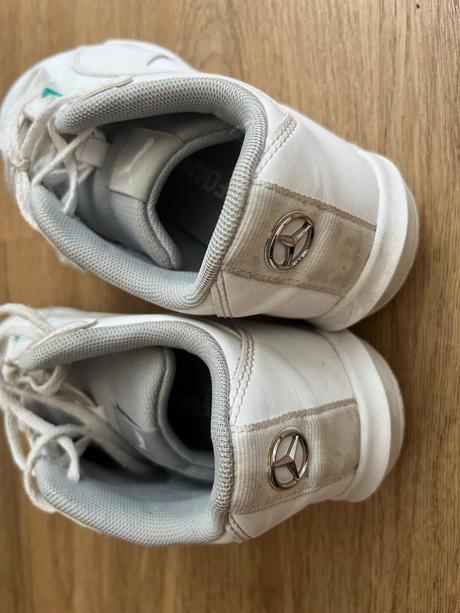 Halovky puma, puma,39