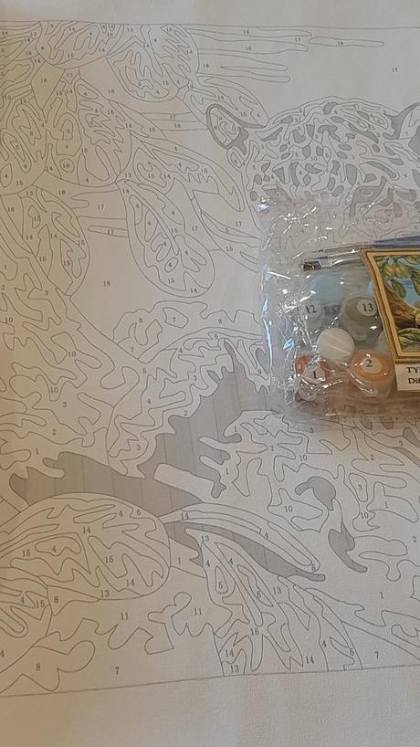 Maľovanie podľa čísel,  2ks ob, 