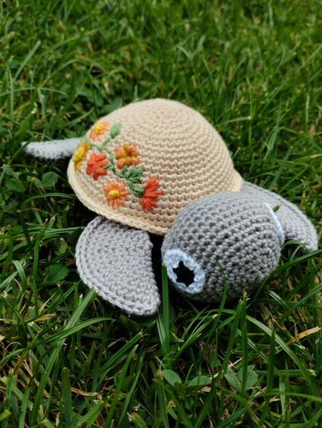 Hackovana korytnacka, 