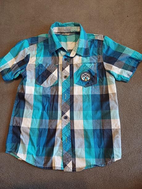 Kosela, palomino,122