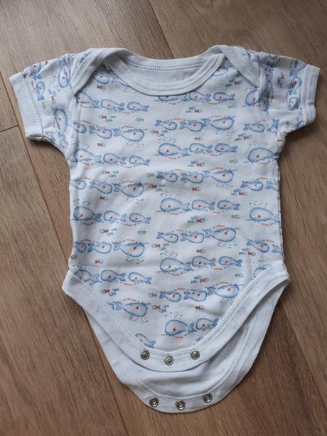 Body kratky rukav, ladybird,68