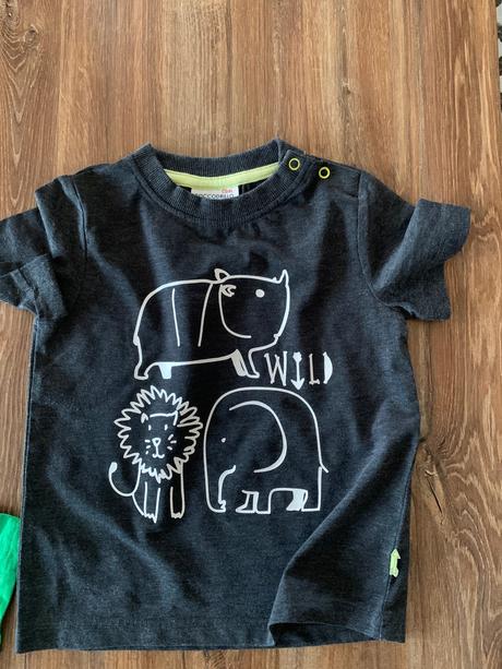 Palomino, palomino,92